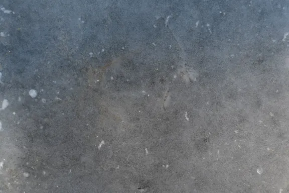 Casino Coins Game Tacaíocht